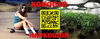 прущие крисы Кингисепп