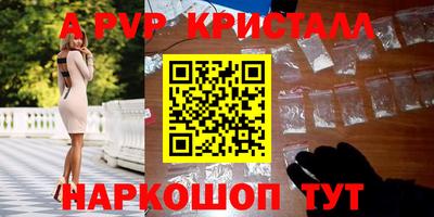 прущие крисы Кингисепп
