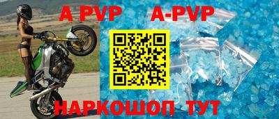 прущие крисы Кингисепп