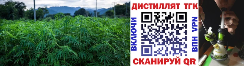 наркошоп  Магнитогорск  Дистиллят ТГК THC oil 