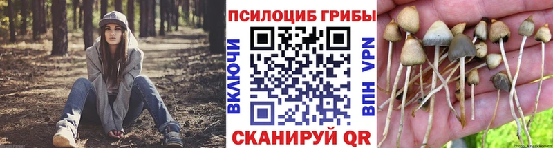 Псилоцибиновые грибы Magic Shrooms  Магнитогорск 